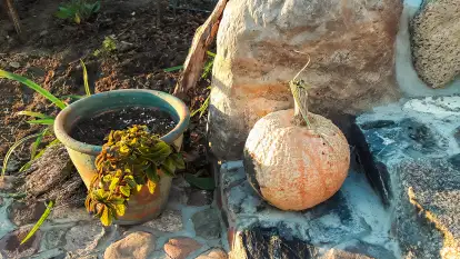 Czułe Miejsce - zdjęcie 37