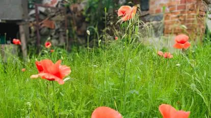 Czułe Miejsce - zdjęcie 41