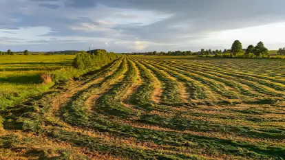 Czułe Miejsce - zdjęcie 42
