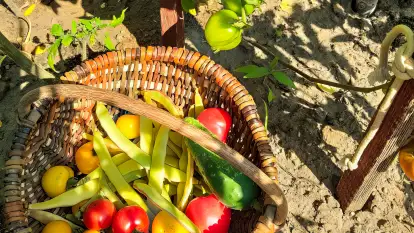 Czułe Miejsce - zdjęcie 43