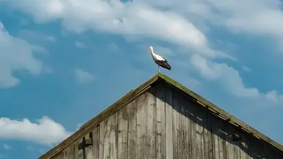 Czułe Miejsce - zdjęcie 48