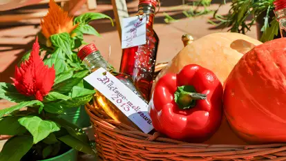 Czułe Miejsce - zdjęcie 30