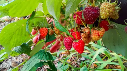 Czułe Miejsce - zdjęcie 44