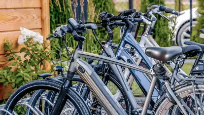 Przystanek Mazury - zdjęcie 50