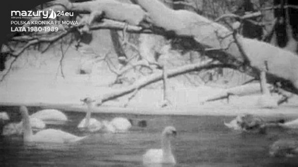 Polska Kronika Filmowa i Mazury, lata 1980-1989