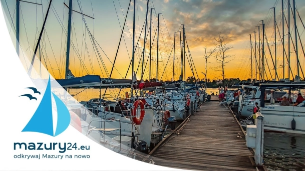 Podsumowanie sezonu 2021 - Tło dla Mew