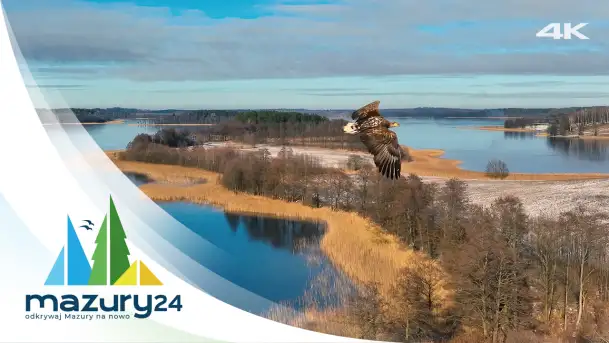 Przedwiośnie na Mazurach, zwierzęta i ptaki już to czują, 4K