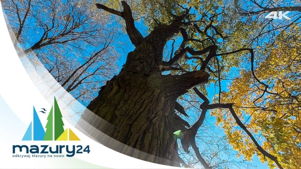 Mazurska Przyroda - Jesień 2024, 4K