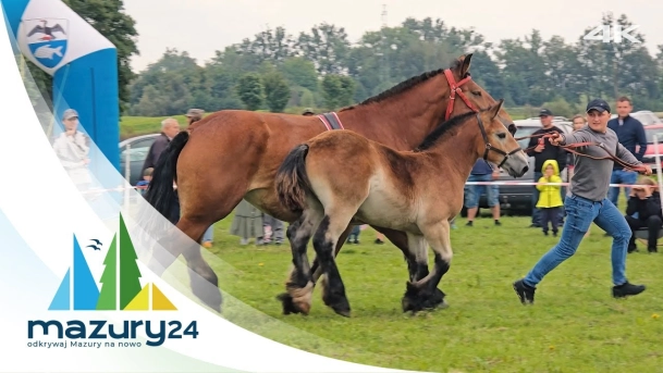 Sulimiada 2025 – Święto Źrebiąt i Tradycji, wrzesień 2025