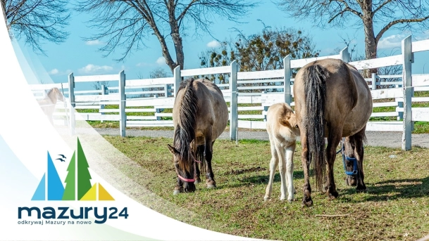 Poznajcie PAN Popielno na Mazurach