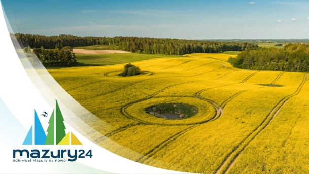  Mazurskie pola i łąki pełne rzepaku, maj 2026 r.