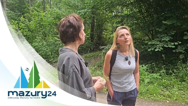 Spacery po Puszczy Boreckiej z przewodnikiem