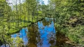 Spływ kajakowy - rzeka Lega