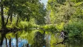 Spływ kajakowy - rzeka Łaźnia Struga