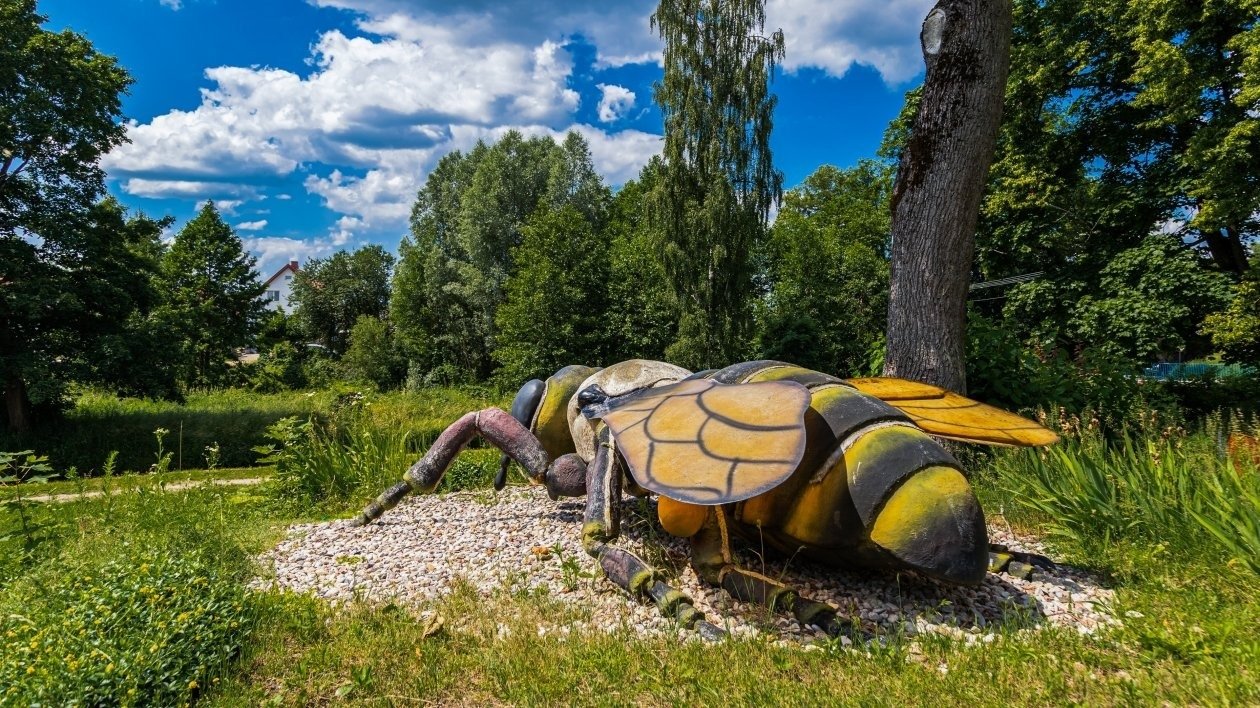Park Owadów Gigantów W Lubnicy Atrakcja turystyczna - Park owadów