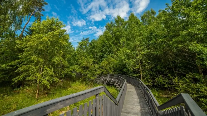 Galeria widokowa nad Pisą