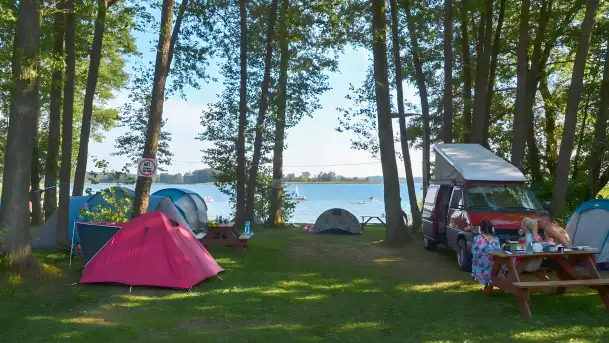 Pole Namiotowe Świerkowa Skarpa