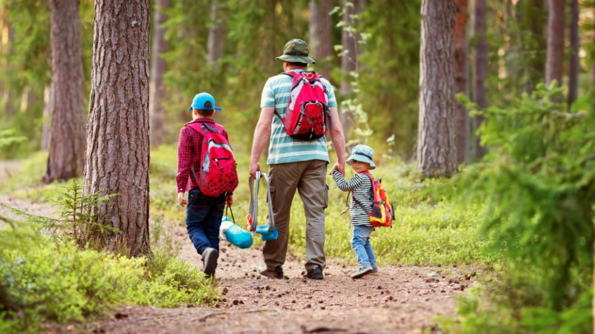 Majówka w domkach 2025