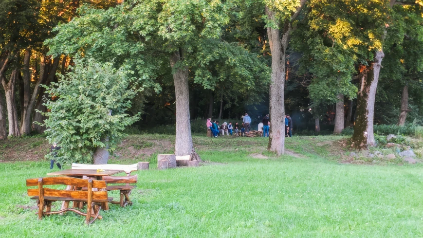 Dendroterapia na Mazurach