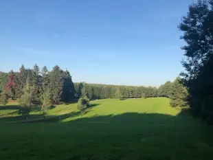 Działki pod domki letniskowe 12km od Giżycka - zdjęcie 2