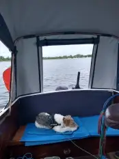 Jacht motorowy FREEMAN  gotowy do pływania - zdjęcie 7