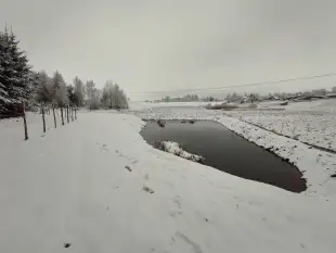 Działka Mazury Szczytno Orzyny Jezioro Staw  - zdjęcie 12
