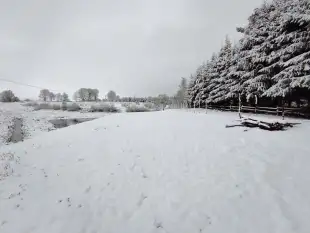 Działka Mazury Szczytno Orzyny Jezioro Staw  - zdjęcie 11
