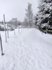 Działka Mazury Szczytno Orzyny Jezioro Staw  - zdjęcie 9