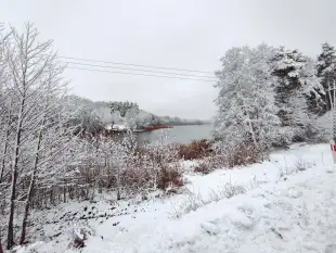 Działka Mazury Szczytno Orzyny Jezioro Staw  - zdjęcie 8