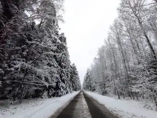 Działka Mazury Szczytno Orzyny Jezioro Staw  - zdjęcie 6