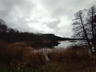Działka Mazury Szczytno Orzyny Jezioro Staw  - zdjęcie 2