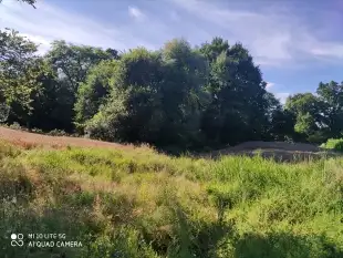 na sprzedaż 40 ha gruntów w Gorazdowie ( 5 km od Giżycka ) - zdjęcie 2