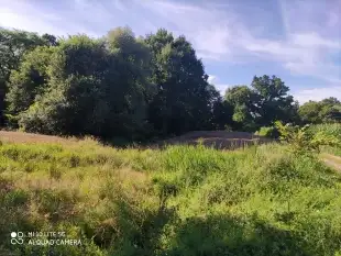 na sprzedaż 40 ha gruntów w Gorazdowie ( 5 km od Giżycka ) - zdjęcie 1