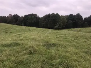 Atrakcyjna działka nad jeziorem! - zdjęcie 3