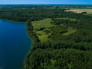 Działka z linią brzegową jeziora, Pozezdrze - zdjęcie 1