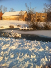 Sprzedam dwór-posiadłość - zdjęcie 17