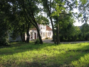 Sprzedam dwór-posiadłość - zdjęcie 15