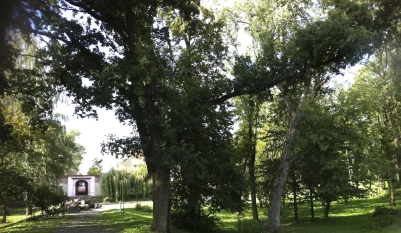 Sprzedam dwór-posiadłość - zdjęcie 14