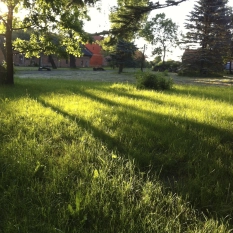 Sprzedam dwór-posiadłość - zdjęcie 13