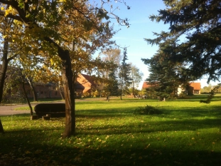 Sprzedam dwór-posiadłość - zdjęcie 11