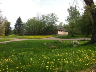 Sprzedam dwór-posiadłość - zdjęcie 10