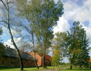 Sprzedam dwór-posiadłość - zdjęcie 9