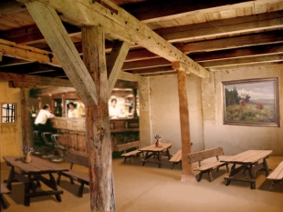 Sprzedam dwór-posiadłość - zdjęcie 7