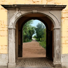 Sprzedam dwór-posiadłość - zdjęcie 6