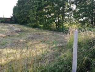 Działka z linią brzegową dużego jeziora na Mazurach - zdjęcie 6