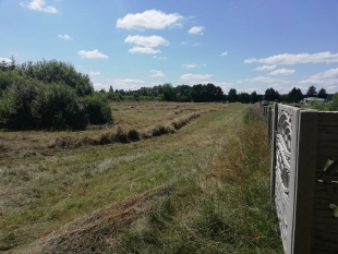 Działka z linią brzegową dużego jeziora na Mazurach - zdjęcie 4