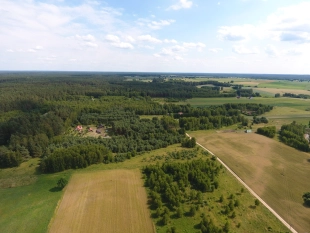 Działka wśród lasu z warunkami zabudowy na Mazurach - zdjęcie 1
