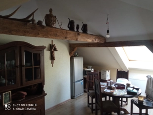 PIĘKNE SIEDLISKO Z DUŻYM STAWEM , NAD JEZIOREM - zdjęcie 10