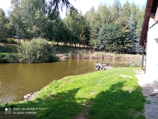 PIĘKNE SIEDLISKO Z DUŻYM STAWEM , NAD JEZIOREM - zdjęcie 4