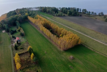 Działka rekreacyjna w Nowym Harszu nad jeziorem Dargin, z dostępem do brzegu - zdjęcie 4